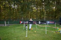 IMG_8041_18-10-25