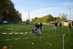 IMG_8045_18-10-25