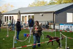 IMG_8049_18-10-25