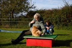 IMG_8063_18-10-25