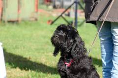 IMG_8068_18-10-25