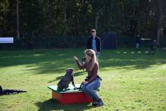 IMG_8085_18-10-25