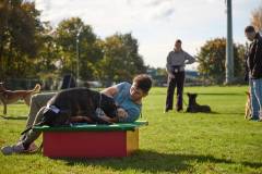 IMG_8106_18-10-25