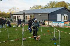 IMG_8116_18-10-25