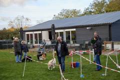 IMG_8140_18-10-25