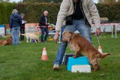 IMG_8146_18-10-25